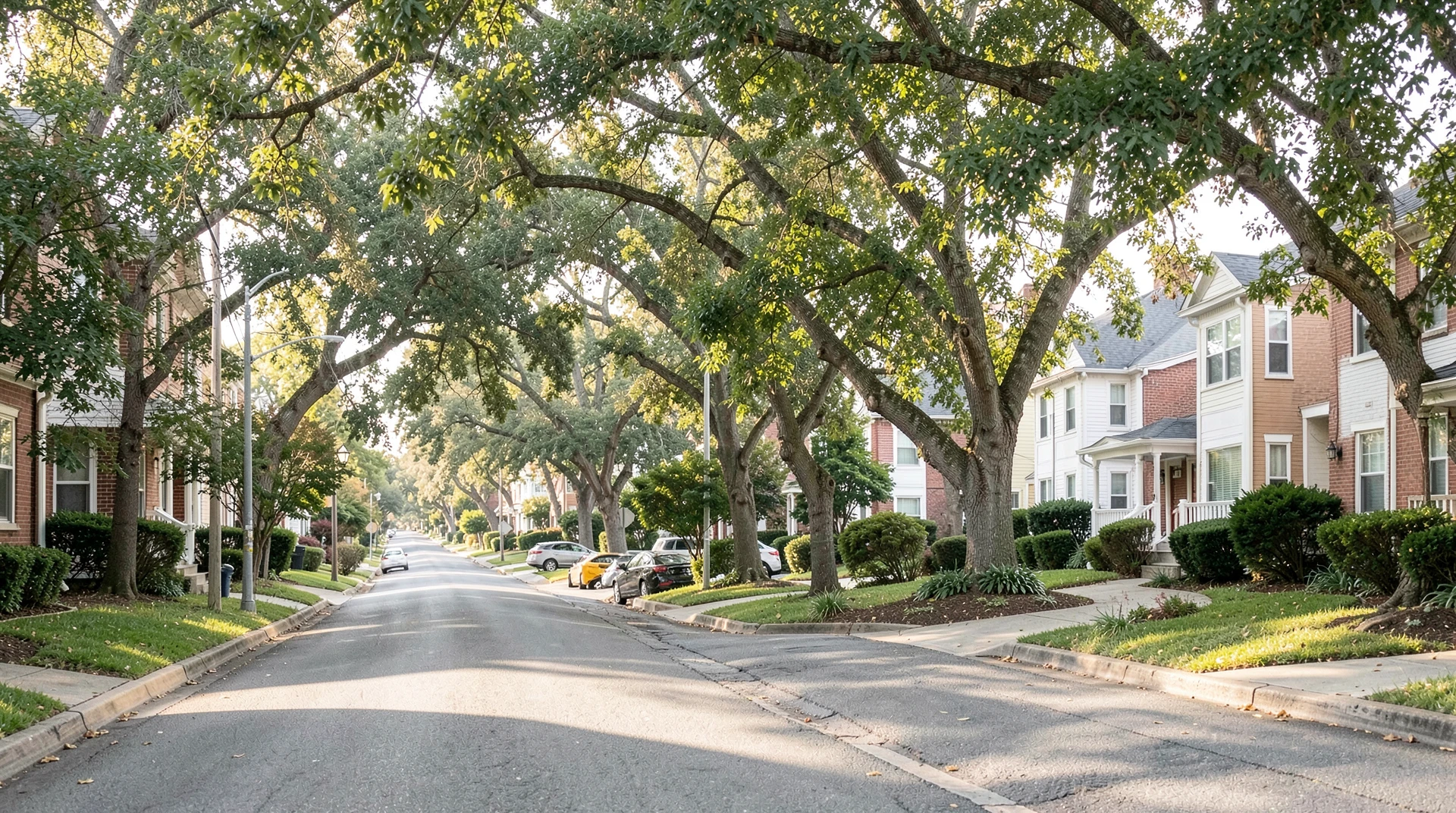 Finding Peace After Separation in Clarendon Way: Your Path to Stability Starts Here.