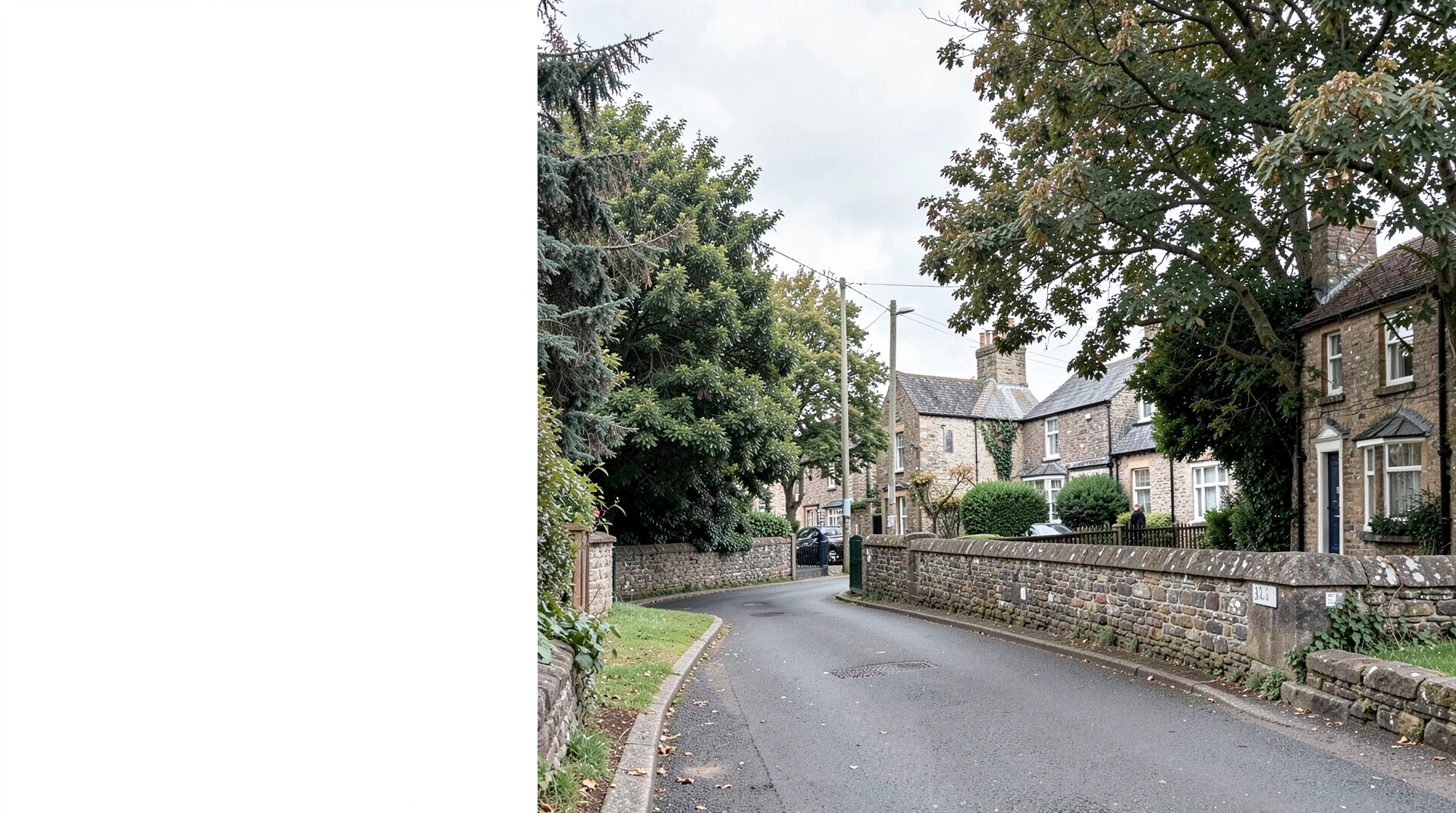 Finding a Path Forward in Whitsbury Common: Mediation Built on Understanding